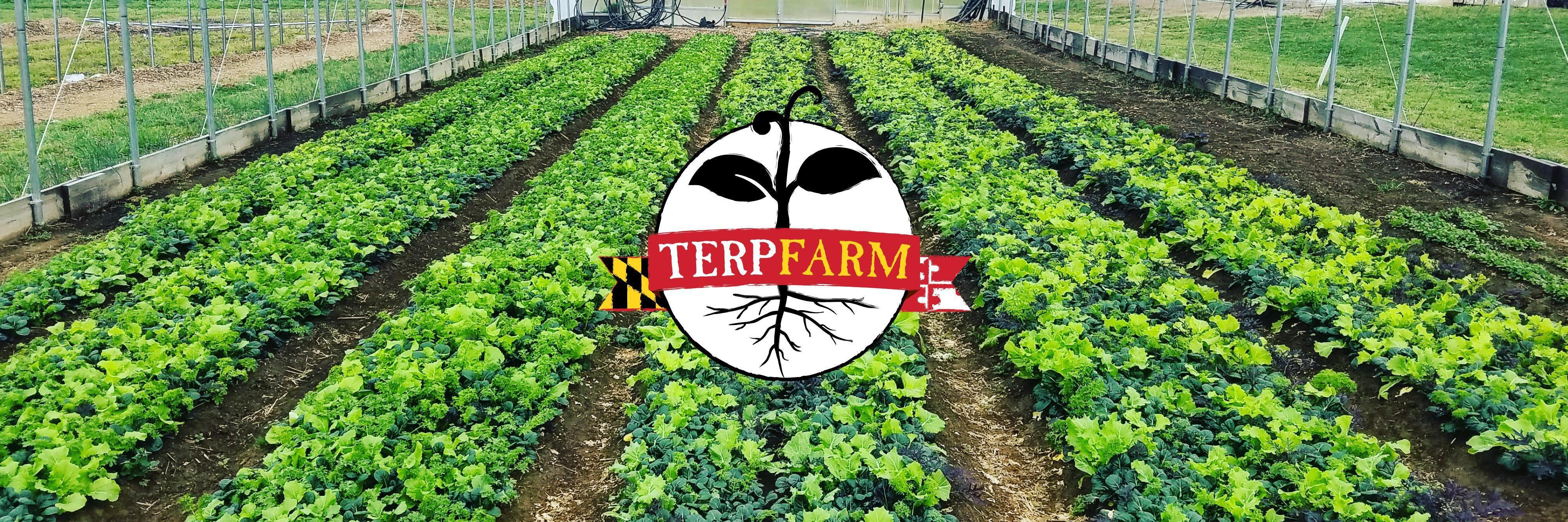 Terp farm