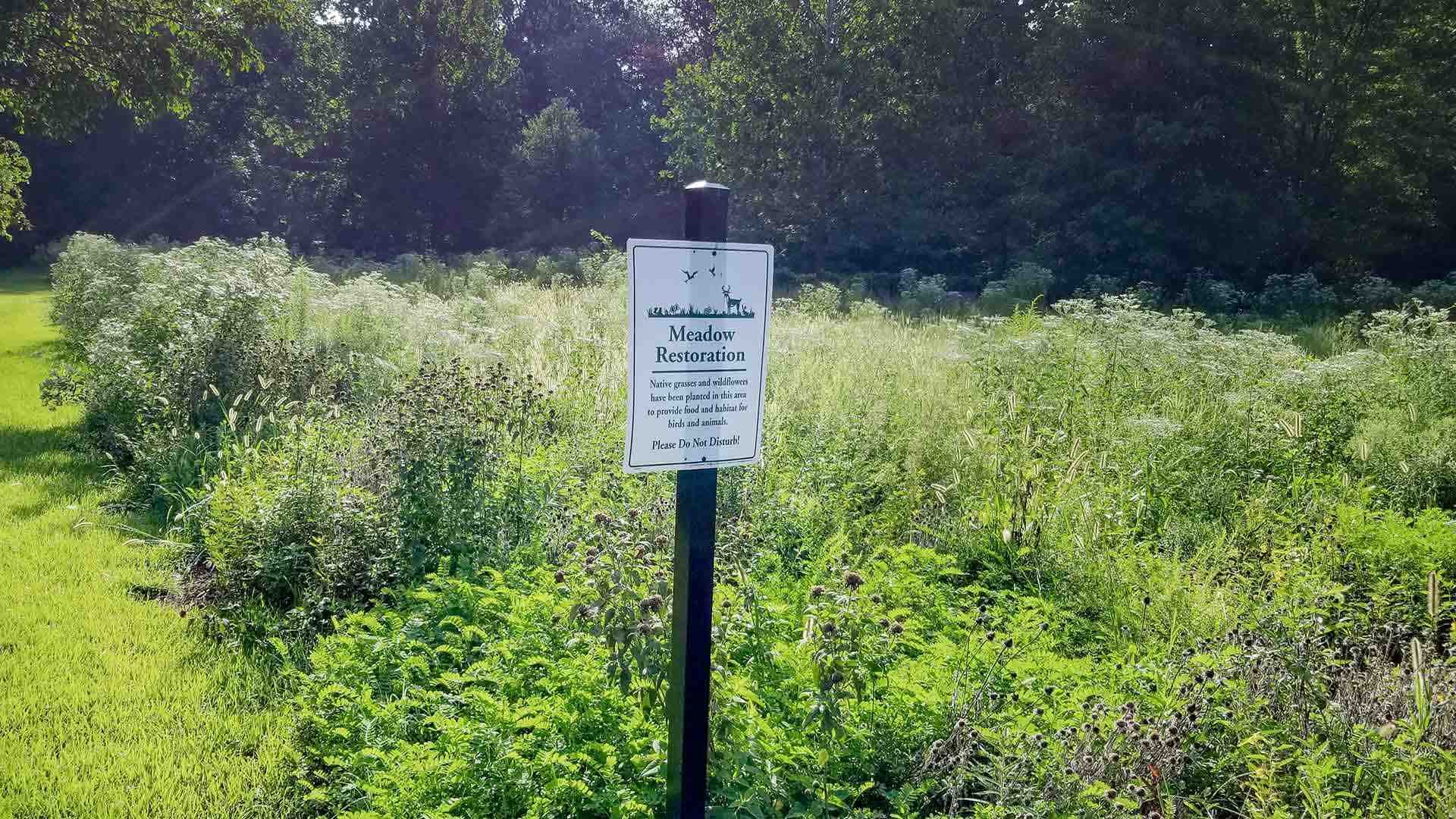 The University Park Pollinator Meadow on Adelphi Road is one of over 30 pollinator refuges stretching from Greenbelt to the D.C. line,